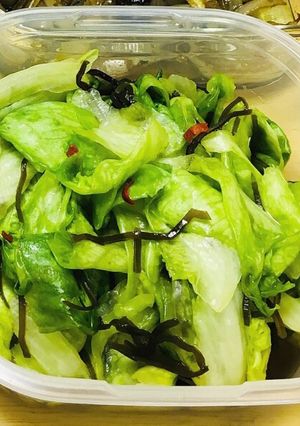 《作り置き》レタスの塩昆布浅漬け-レシピのメイン写真