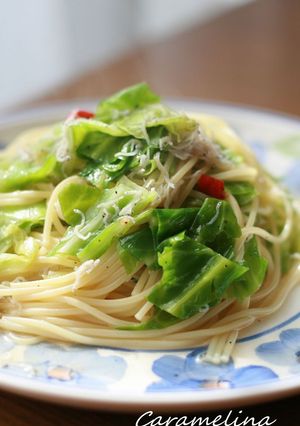 キャベツとじゃこのスパゲティ-レシピのメイン写真