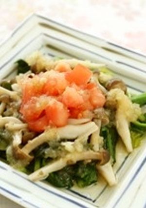 かき菜のサラダ-レシピのメイン写真