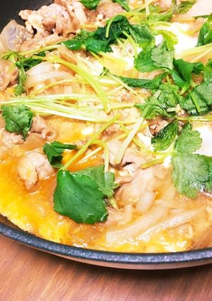 味付け簡単！フライパンで親子丼！-レシピのメイン写真