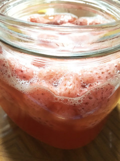 いちご酵母(パン)-レシピのメイン写真