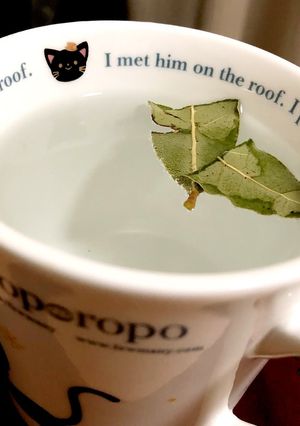 ローリエ白湯-レシピのメイン写真