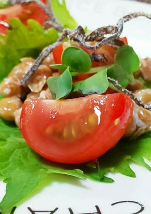 納豆のサラダ包み-レシピのメイン写真
