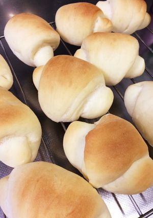 もっちりロールパン-レシピのメイン写真