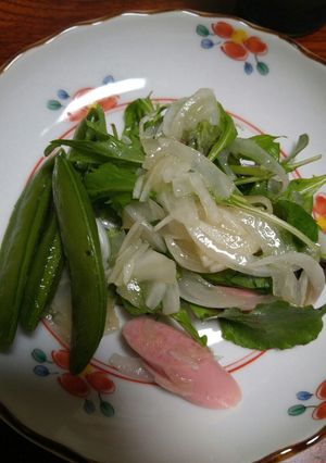 新玉ねぎのサラダ-レシピのメイン写真