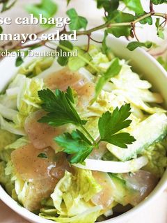 簡単★白菜とこんにゃくのごまマヨサラダ-レシピのメイン写真