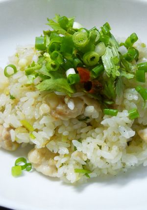 パクチキンライス-レシピのメイン写真