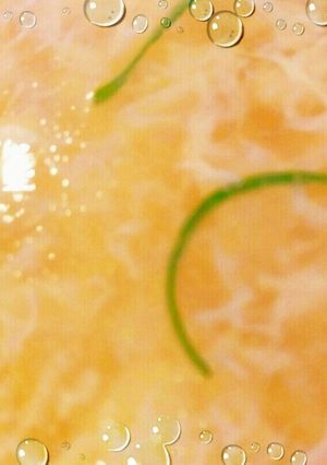 中華味♩かき玉汁-レシピのメイン写真