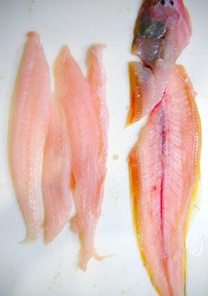 簡単！舌平目の下処理-レシピのメイン写真