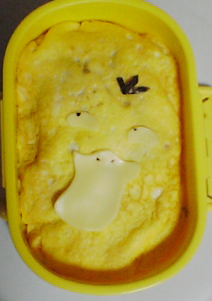 お弁当の記録＜２月分＞-レシピのメイン写真