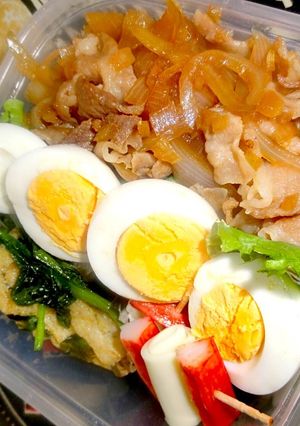ガッツリ生姜焼き弁当-レシピのメイン写真