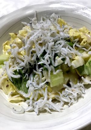 白菜とセロリの葉のごまわさびサラダ-レシピのメイン写真