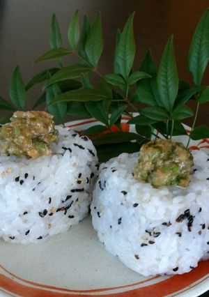 春を味わう✩ふき味噌おにぎり-レシピのメイン写真