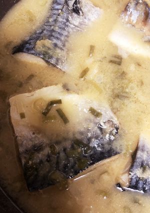 サバの味噌煮-レシピのメイン写真