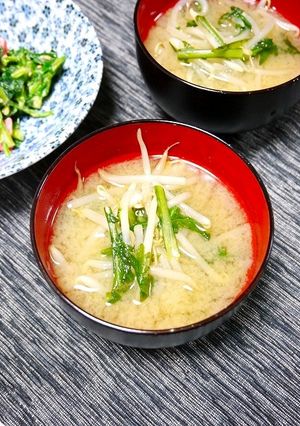 簡単！春菊ともやしのお味噌汁-レシピのメイン写真