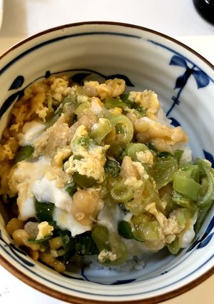 5分で美味しい♪ネギ丼-レシピのメイン写真