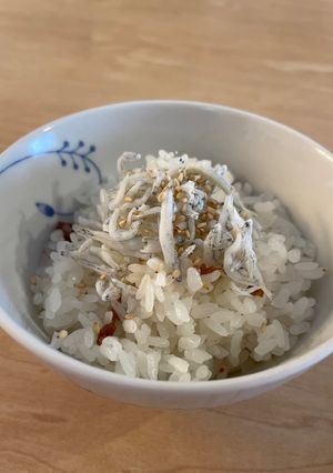さっぱり⭐︎梅ご飯⭐︎防腐⭐︎梅雨時期に-レシピのメイン写真