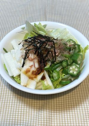 シャキシャキ長芋とオクラのサラダ-レシピのメイン写真