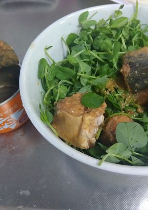 サバ味噌煮缶と豆苗のサラダ-レシピのメイン写真