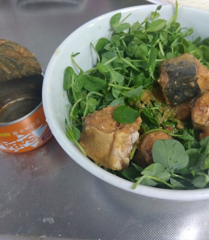 サバ味噌煮缶と豆苗のサラダ-レシピのメイン写真