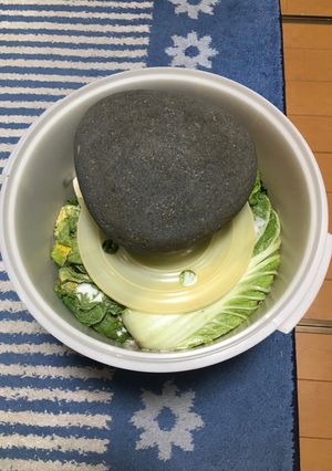 白菜の漬け物（塩漬け）【四毒抜き】-レシピのメイン写真