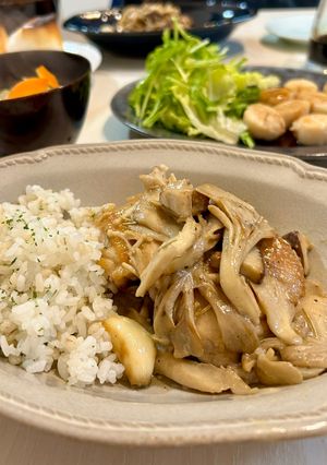 鶏肉ときのこのフリカッセ-レシピのメイン写真