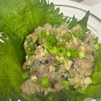 基本からアレンジまで！思わずつくりたくなる「あじ なめろう」の