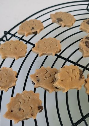 卵不使用☆米粉チョコクッキー🦔-レシピのメイン写真