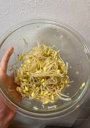 豆もやしのアジアンナムル-レシピのメイン写真