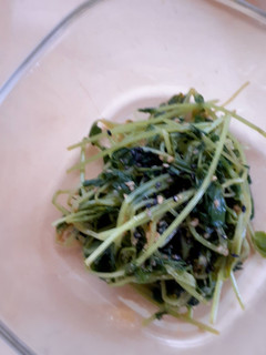 豆苗の胡麻和え-レシピのメイン写真