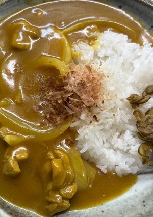 そば屋の和風出汁カレー(250709)-レシピのメイン写真