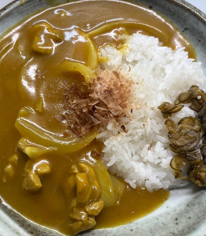 そば屋の和風出汁カレー(250709)-レシピのメイン写真