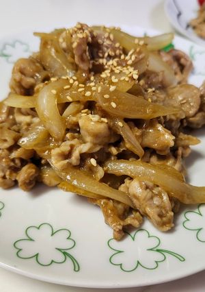 男子飯！国産豚こま肉と玉葱を炒めたアレ-レシピのメイン写真