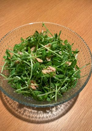 豆苗とツナの和えもの-レシピのメイン写真