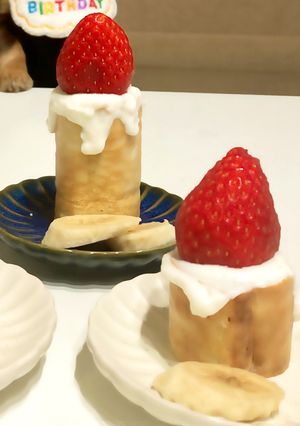 犬用　キャンドルケーキ-レシピのメイン写真