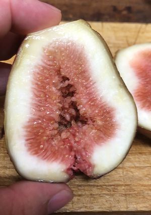 保存版✅いちじくが腐るサイン・熟れ具合の見分け方-レシピのメイン写真