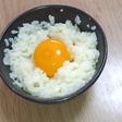 極上TKG🥚🍚