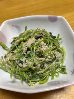 三つ葉とツナのゴママヨ和え-レシピのメイン写真