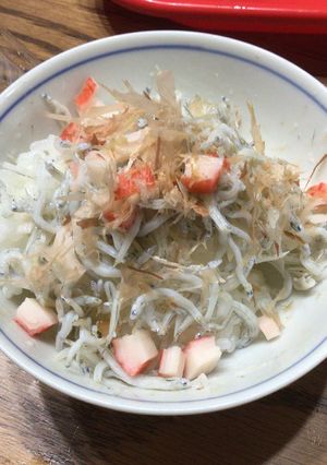 元気☆栄養いっぱい五目しらす丼-レシピのメイン写真