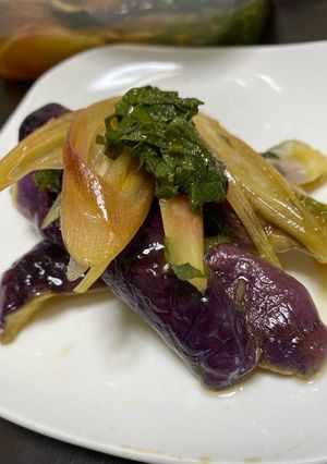 【初心者】茄子とミョウガの煮びたし-レシピのメイン写真