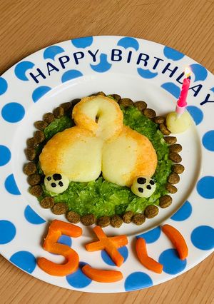 犬用　誕生日ケーキ　柴犬-レシピのメイン写真
