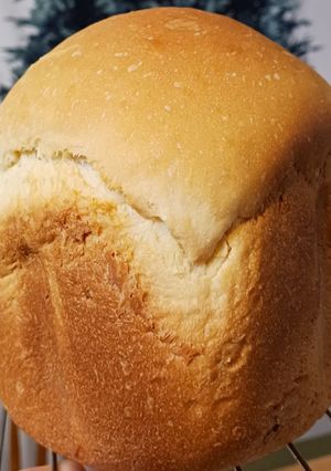 残り物のババロアを使った食パン-レシピのメイン写真