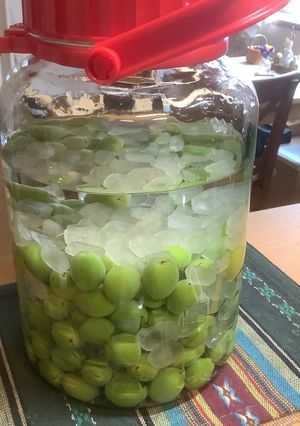 梅酒-レシピのメイン写真
