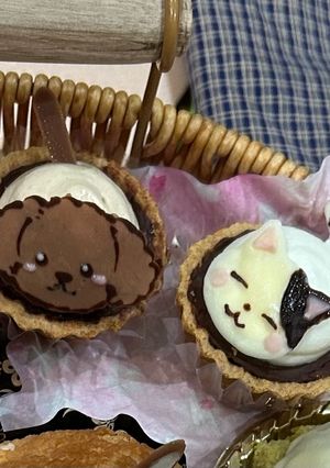 可愛い😍トイプー♡猫の生チョコ一口タルト-レシピのメイン写真