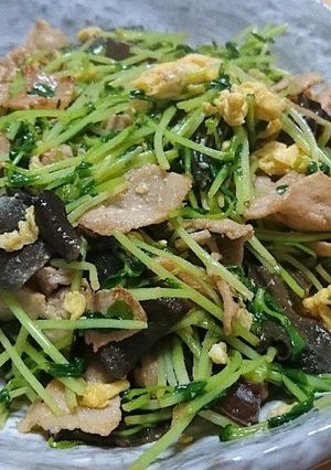 豆苗の中華炒め≦ФωФ≧-レシピのメイン写真