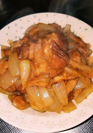 カレー麸-レシピのメイン写真