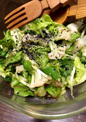 焼肉のたれと塩麹とポン酢でドレッシング！-レシピのメイン写真