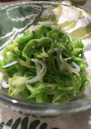 春キャベツのしらす和え♪-レシピのメイン写真