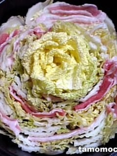 てきとう☆白菜と豚バラ鍋-レシピのメイン写真