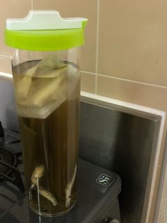 ほったらかしの水出しお出汁-レシピのメイン写真